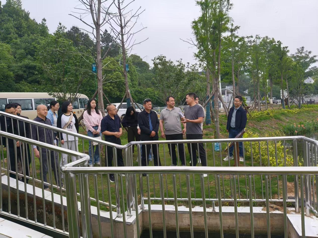 湖南政协新闻网