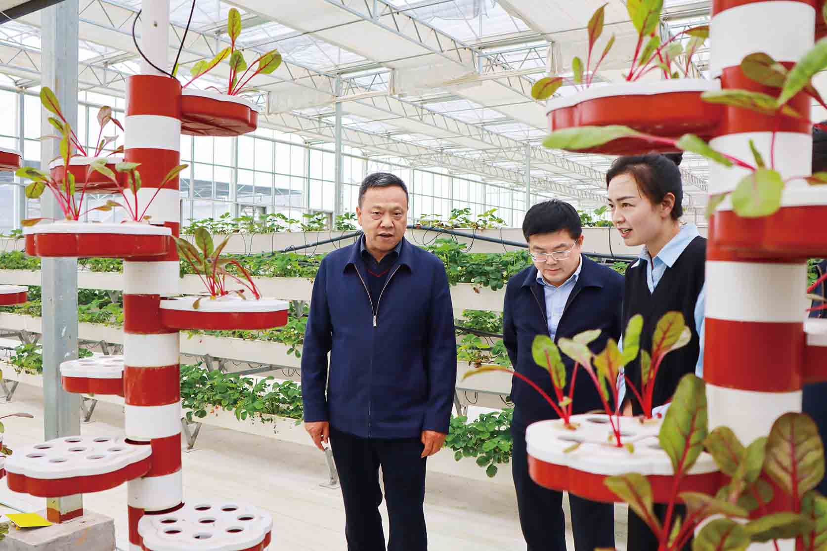 湖南政协新闻网
