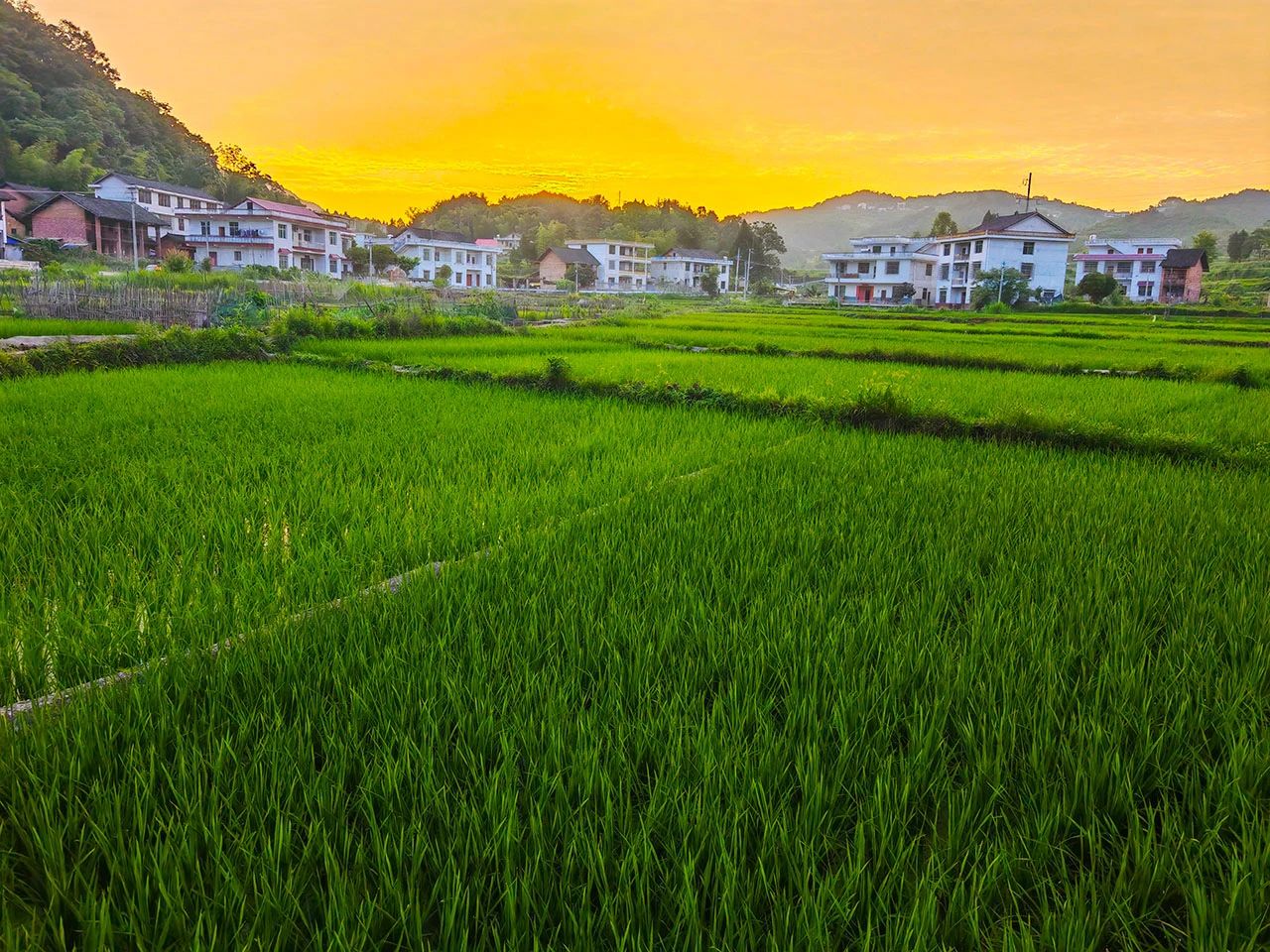 湖南政协新闻网 湖南政协新闻网