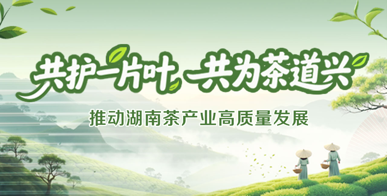 共护一片叶(微信).jpg 共护一片叶(微信).jpg