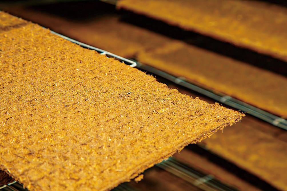 湖南政协新闻网