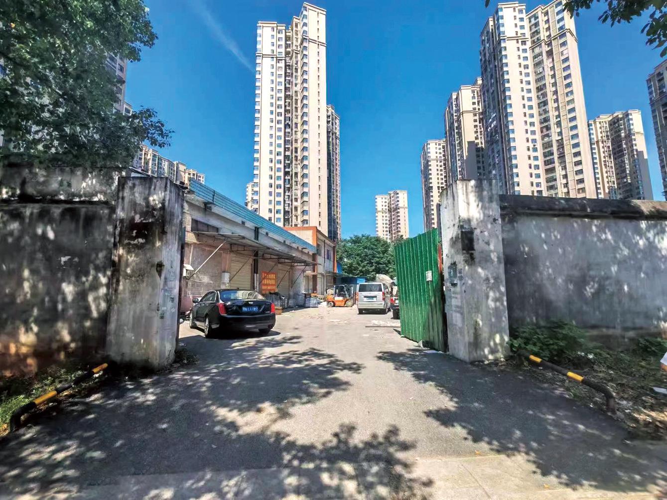 湖南政协新闻网 湖南政协新闻网