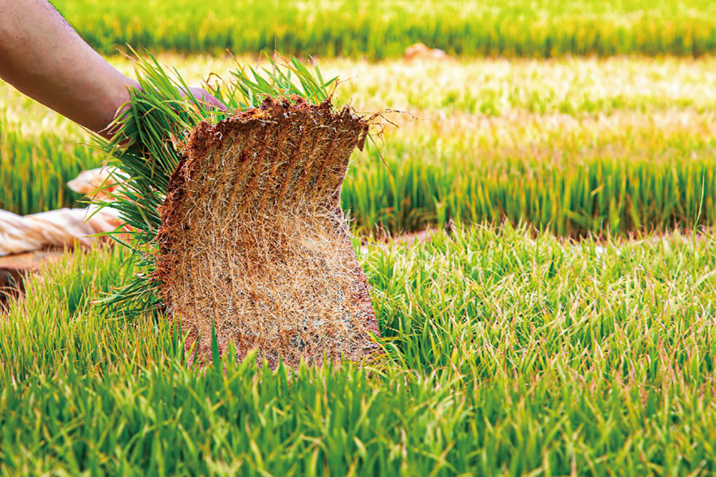 湖南政协新闻网