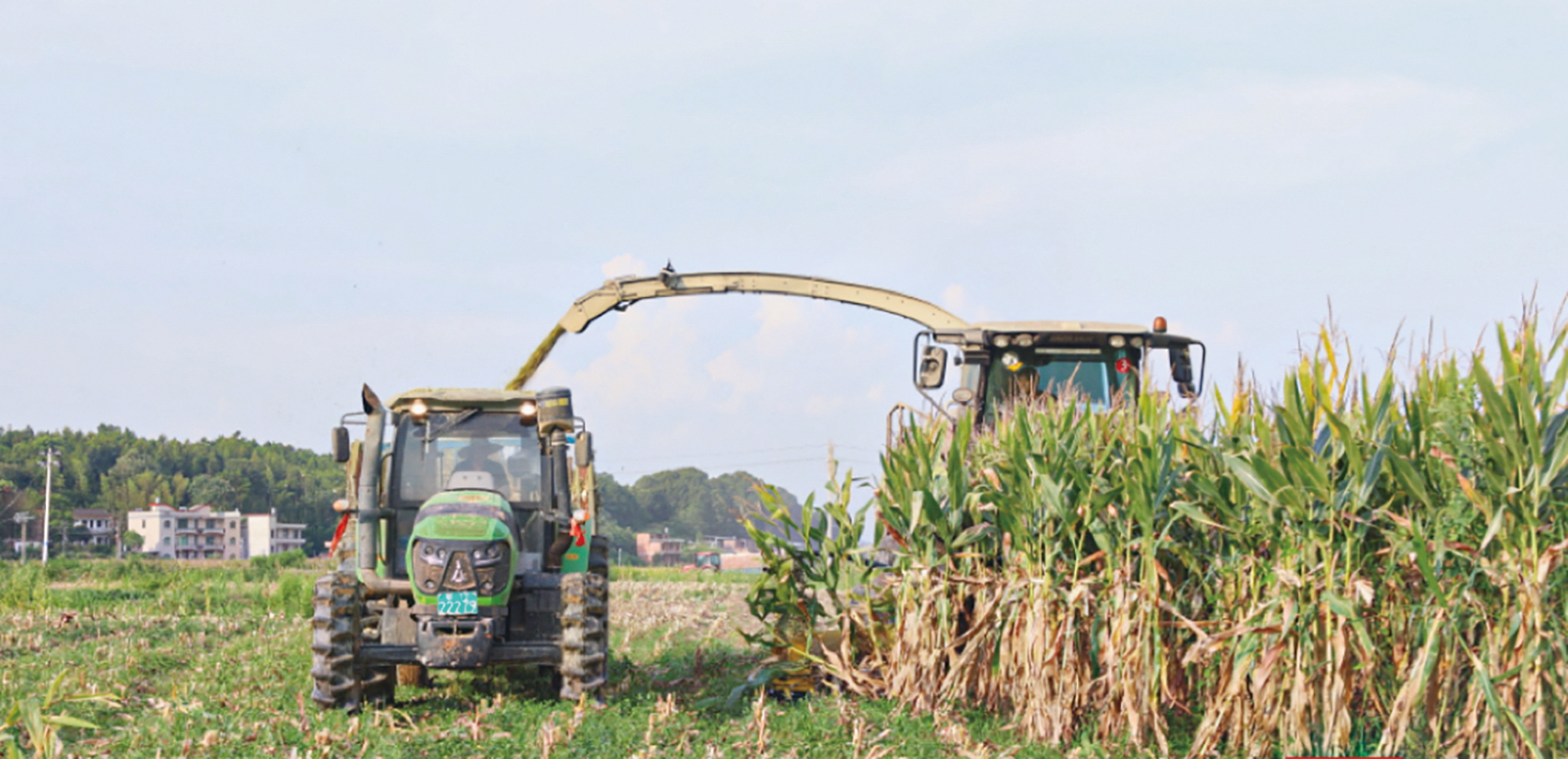 湖南政协新闻网