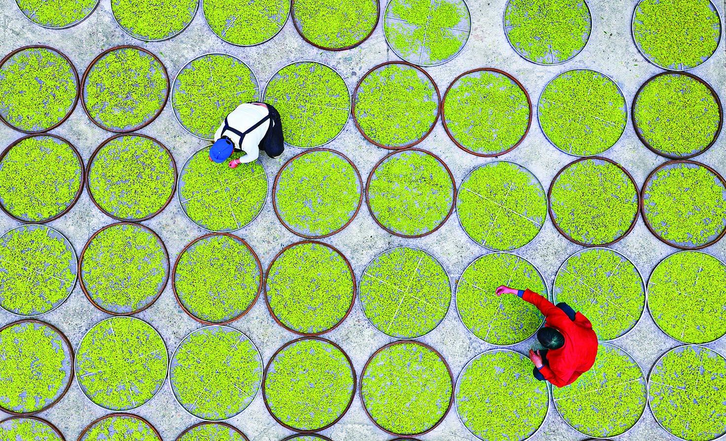 湖南政协新闻网 湖南政协新闻网