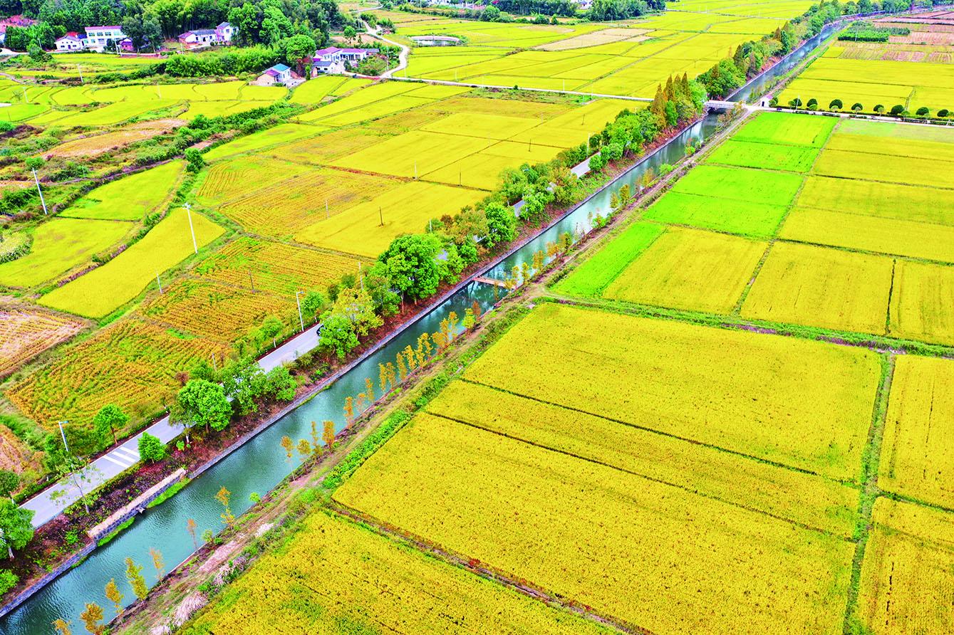 湖南政协新闻网