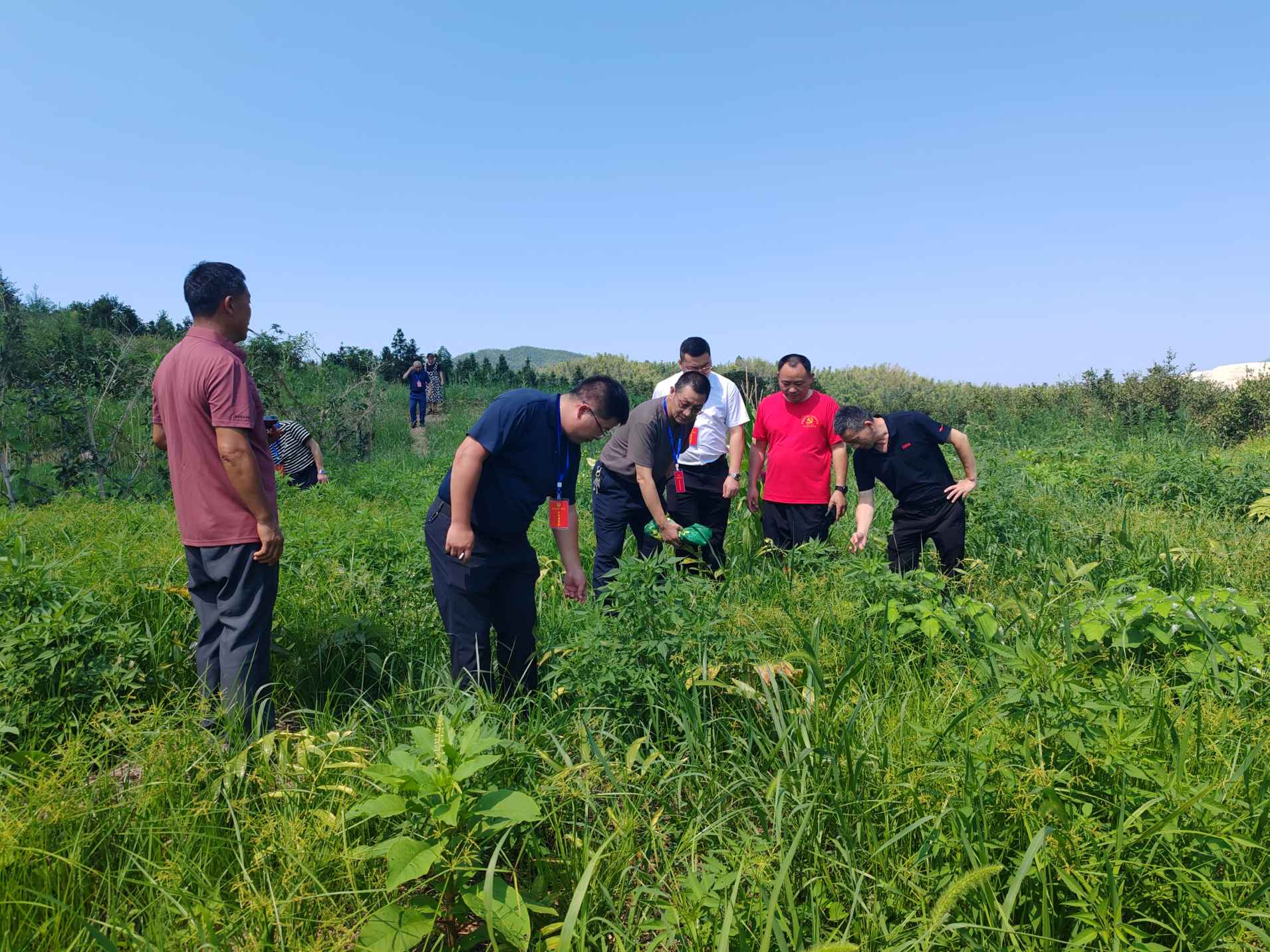 湖南政协新闻网 湖南政协新闻网