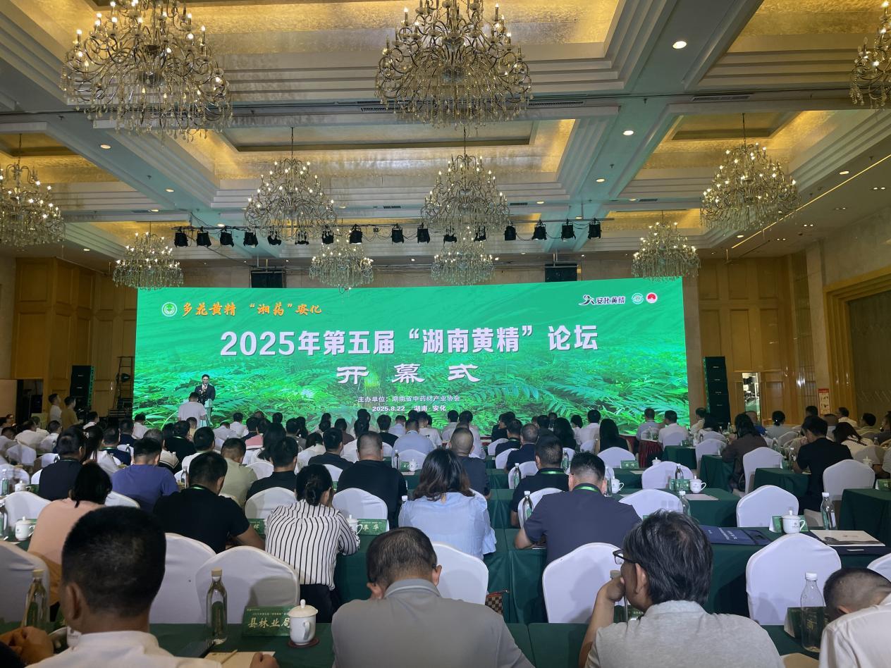 湖南政协新闻网