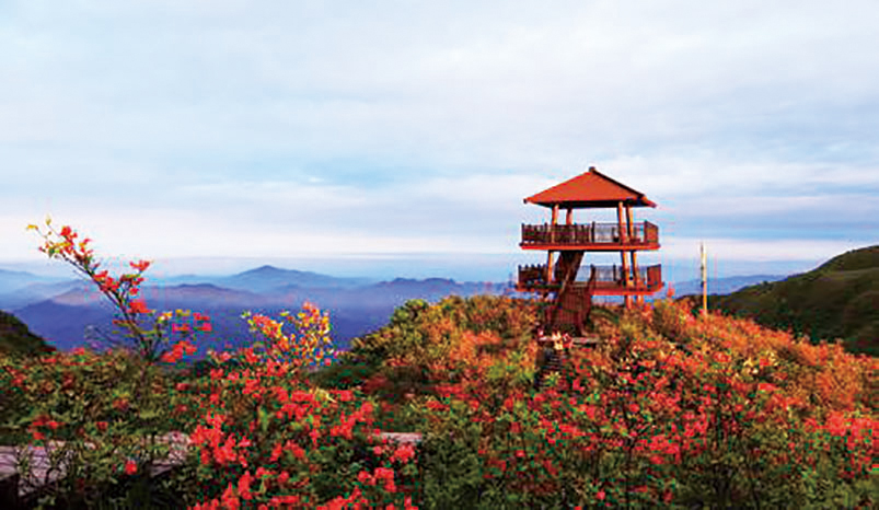 湖南政协新闻网