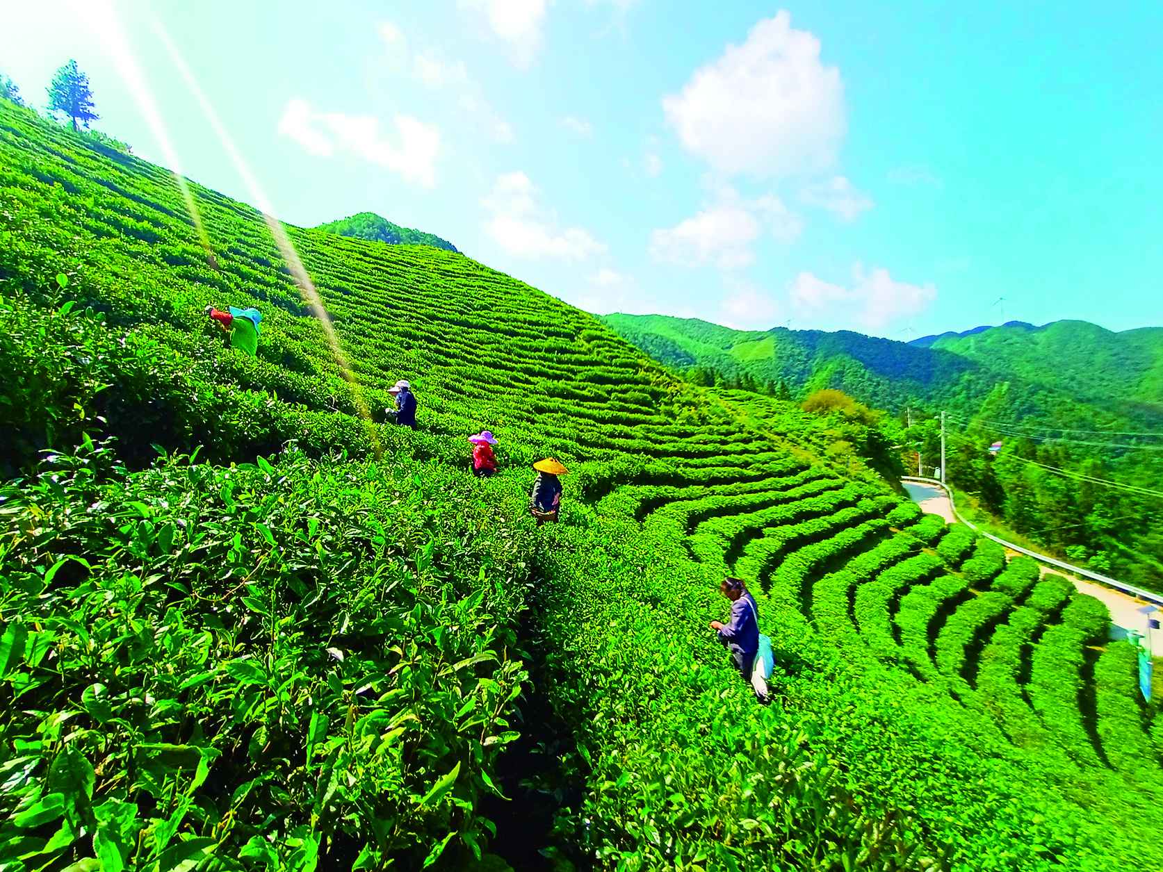 湖南政协新闻网 湖南政协新闻网