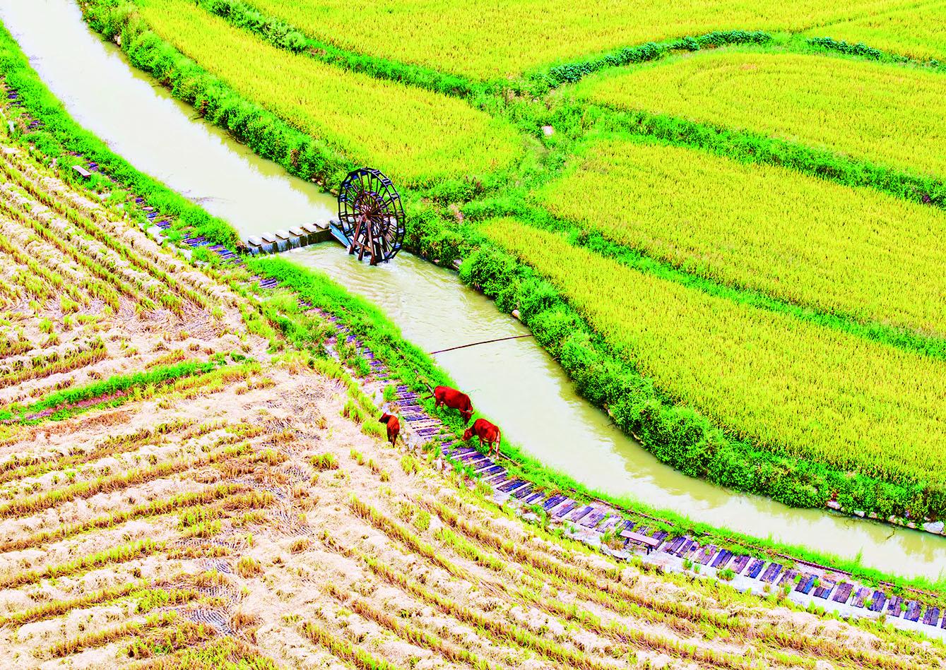 湖南政协新闻网