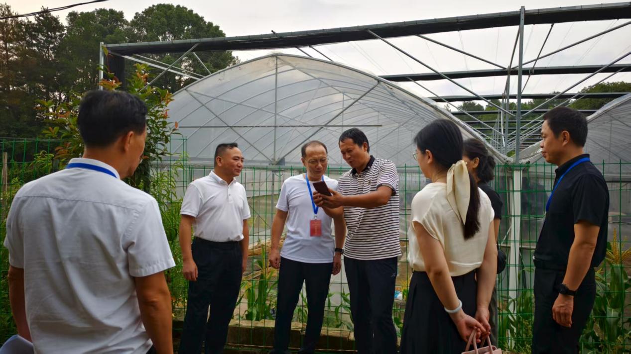 湖南政协新闻网