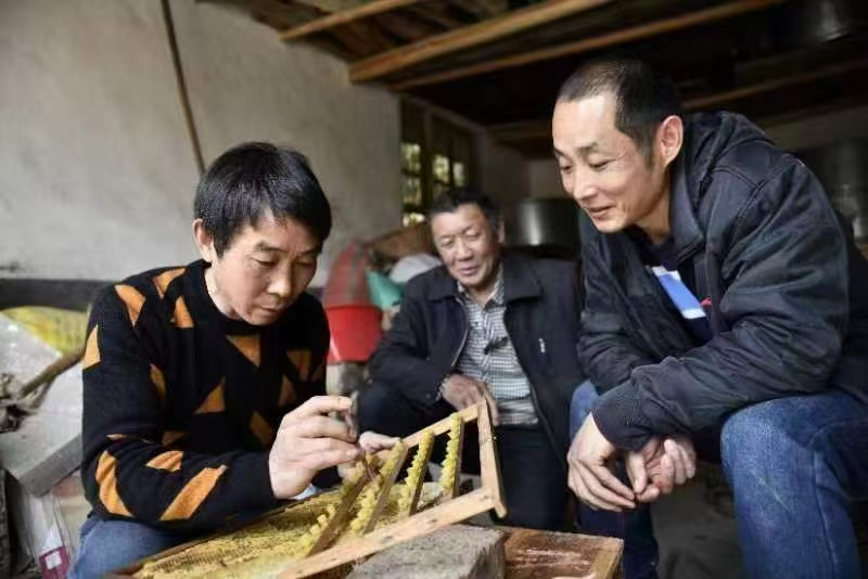 湖南政协新闻网 湖南政协新闻网