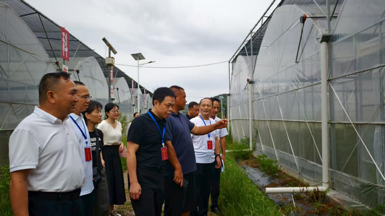 湖南政协新闻网