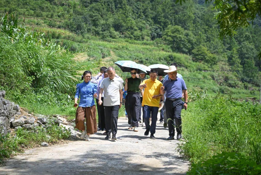 湖南政协新闻网