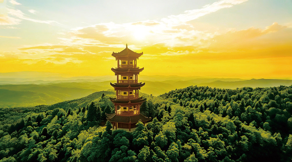 湖南政协新闻网