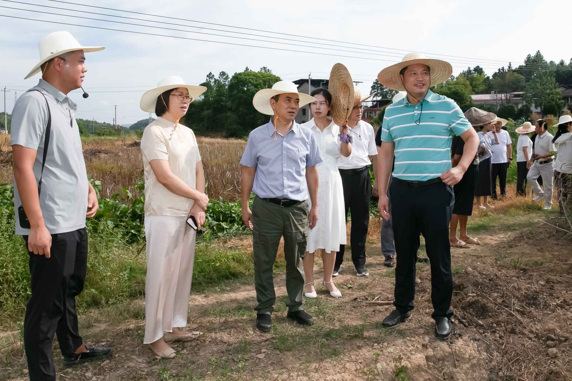 湖南政协新闻网