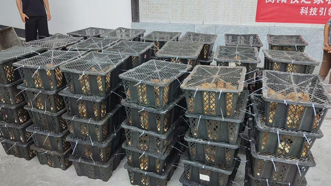 湖南政协新闻网