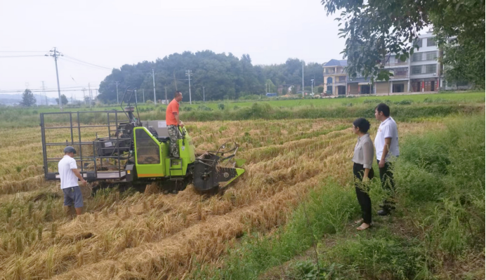 湖南政协新闻网