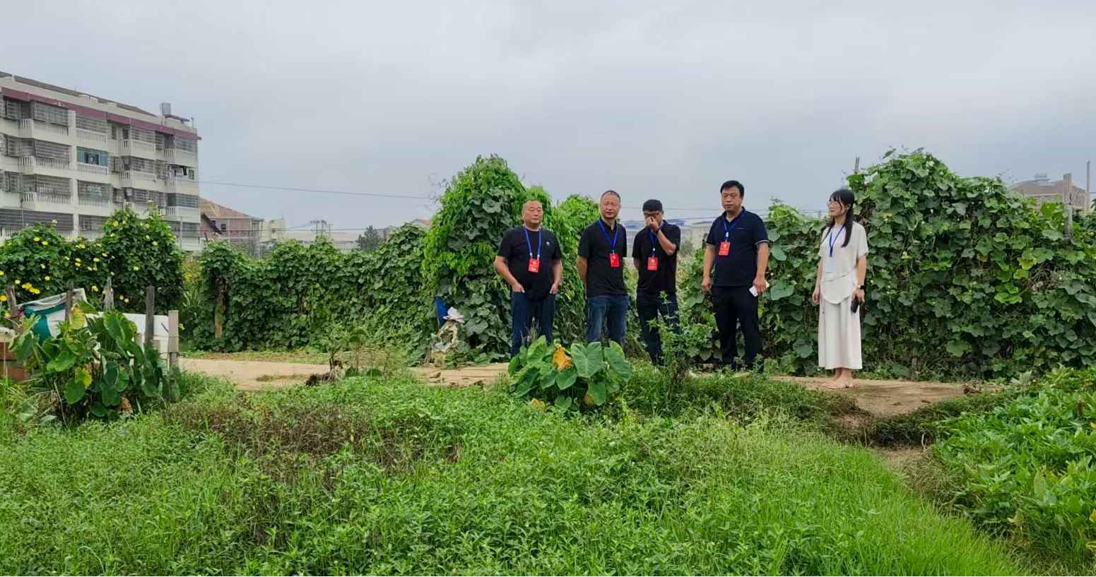 湖南政协新闻网