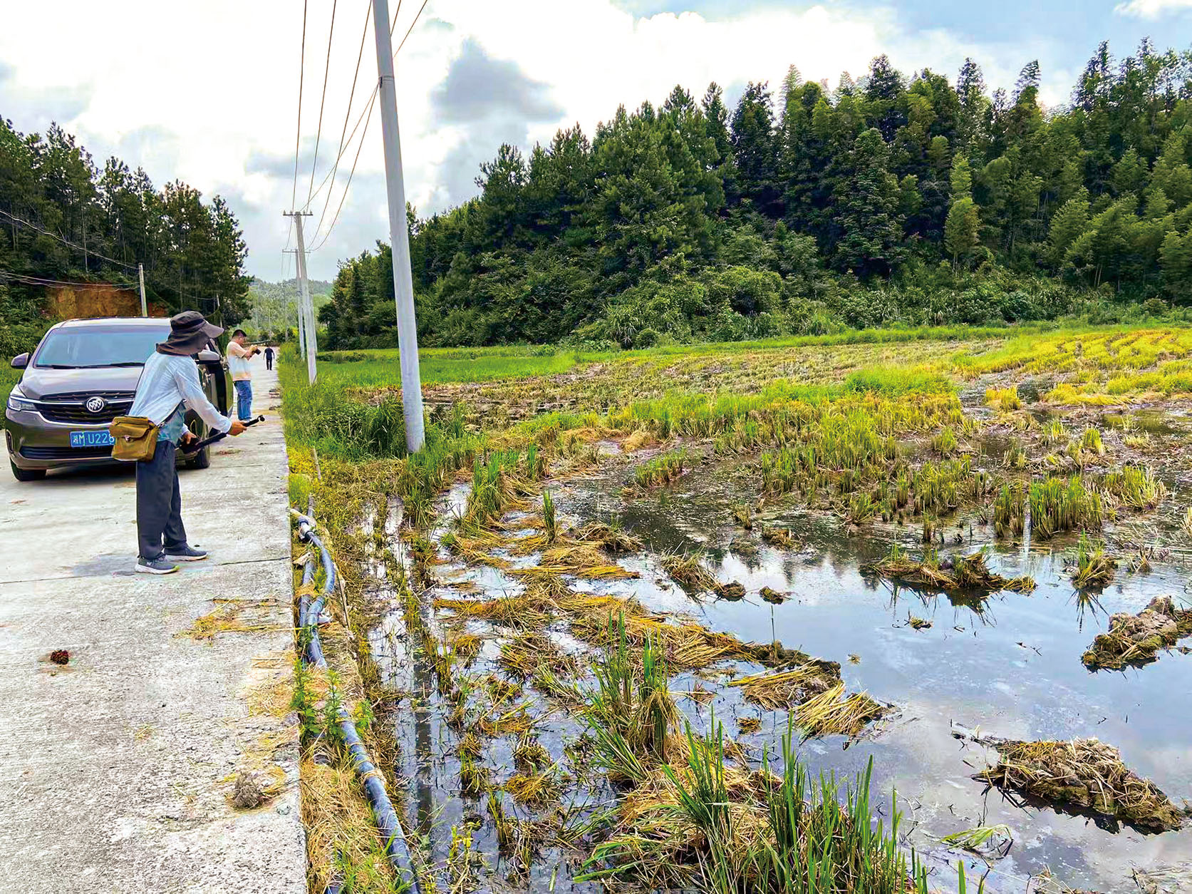 湖南政协新闻网