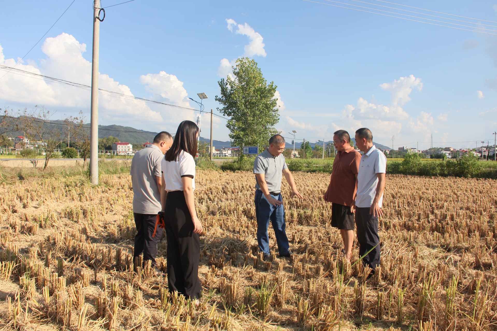 湖南政协新闻网