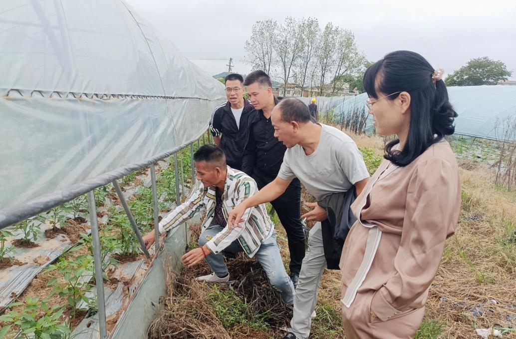 湖南政协新闻网