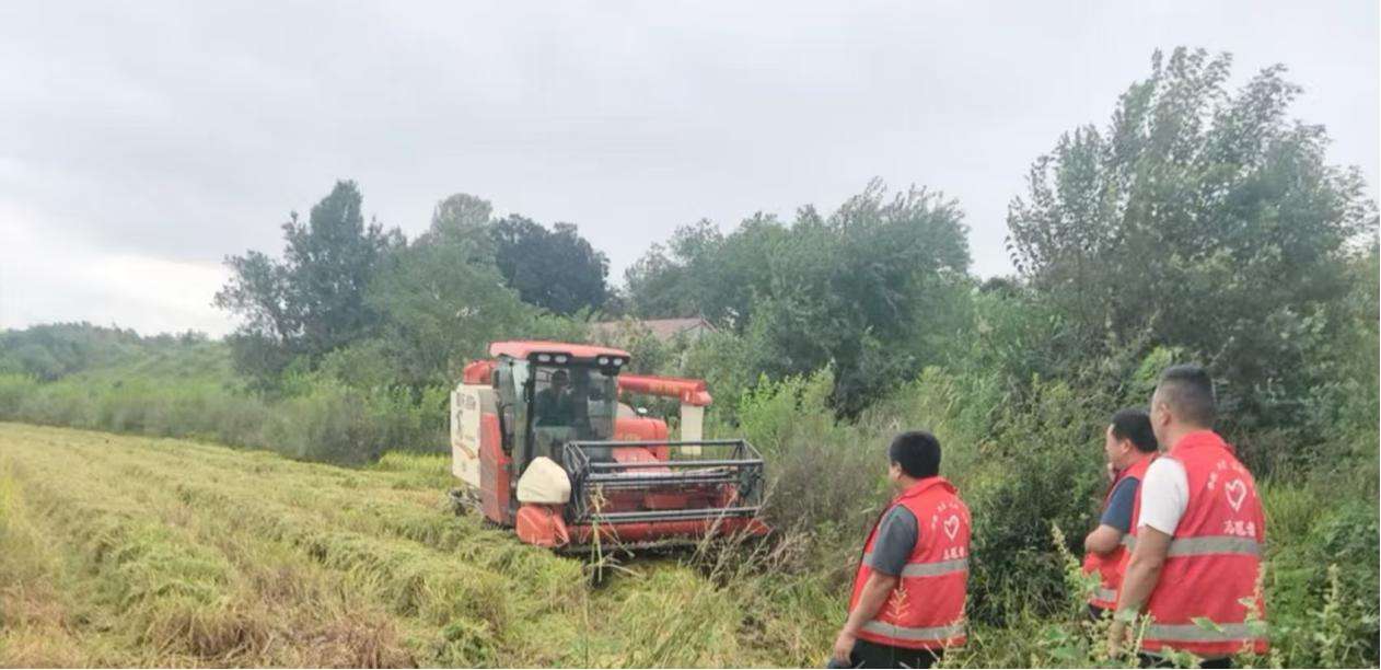 湖南政协新闻网