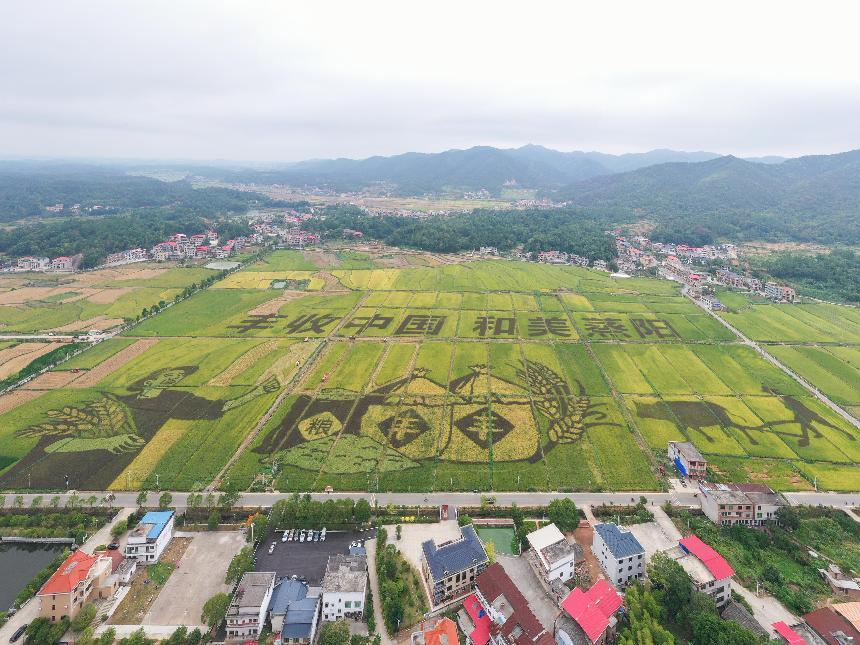 湖南政协新闻网