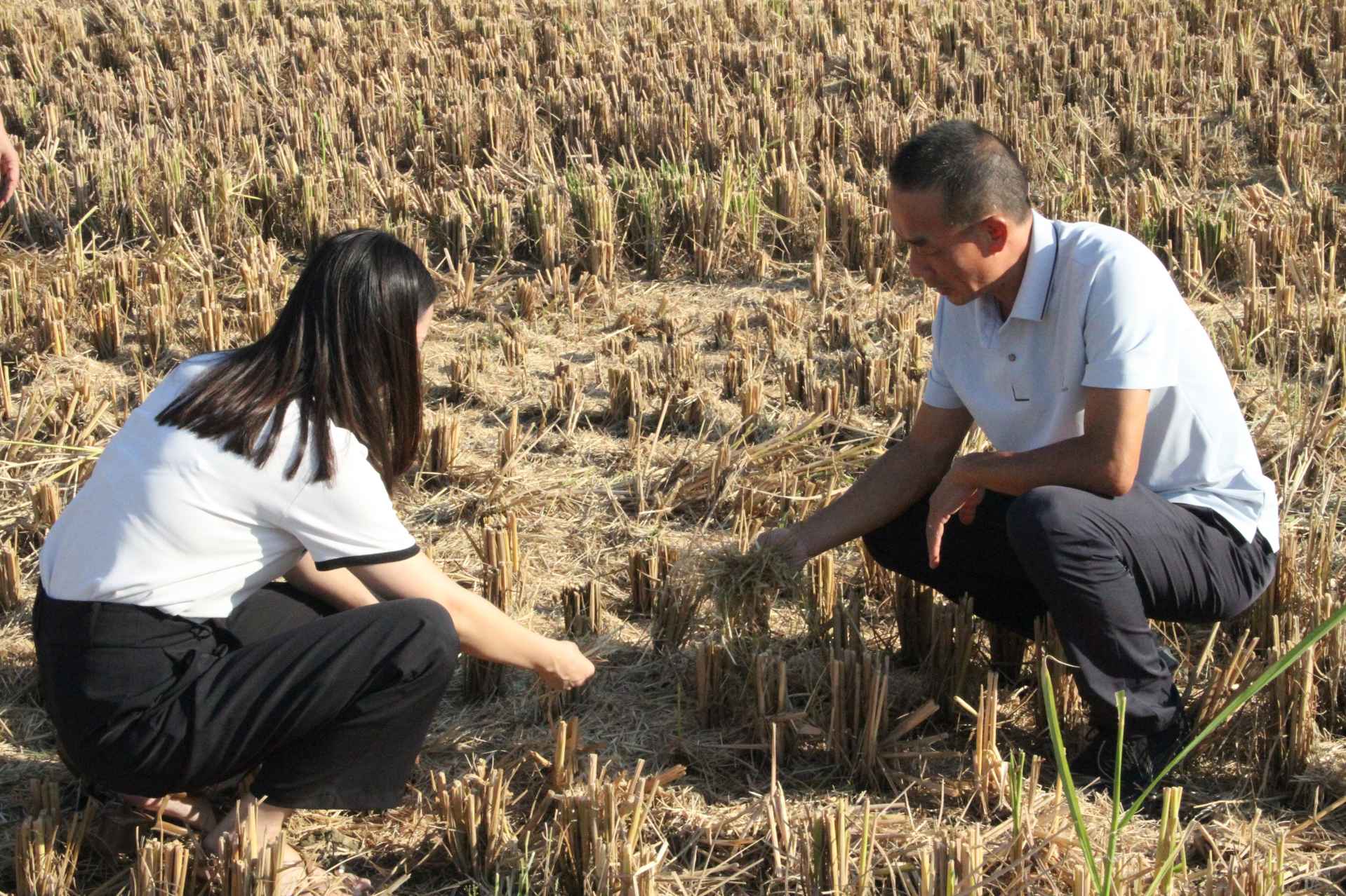 湖南政协新闻网