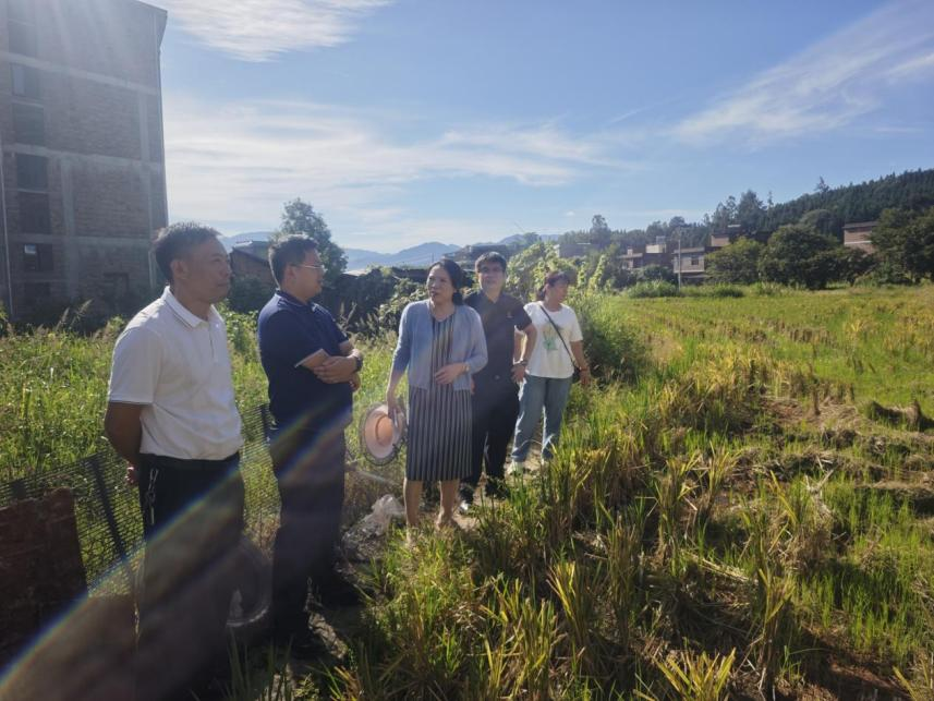 湖南政协新闻网