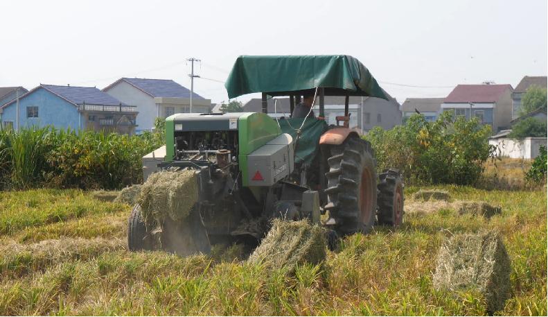 湖南政协新闻网
