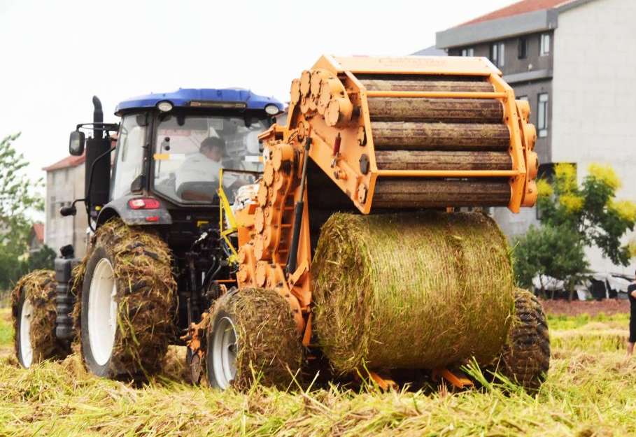 湖南政协新闻网