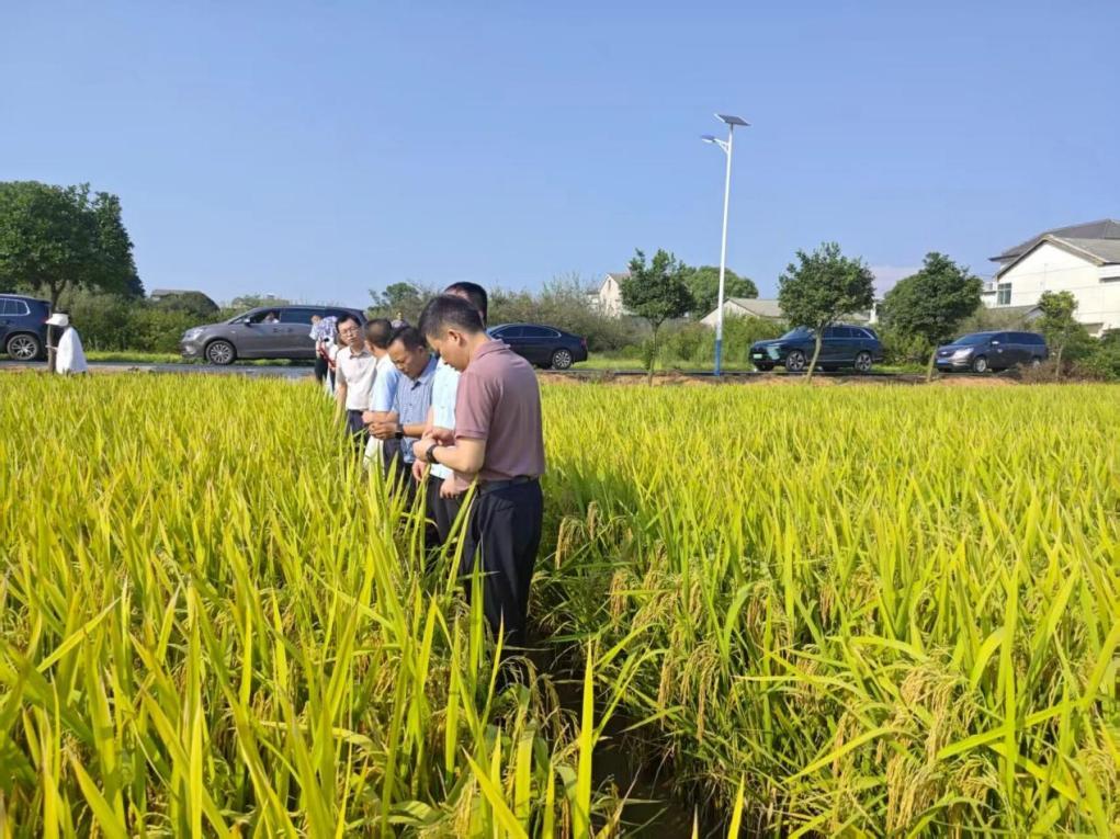 湖南政协新闻网