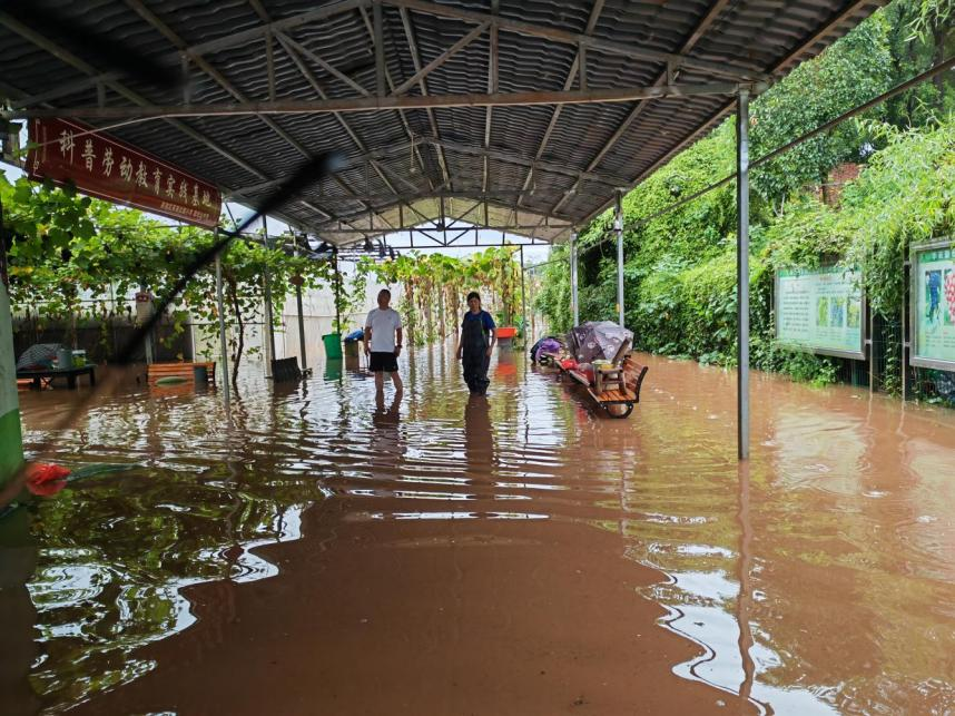 湖南政协新闻网
