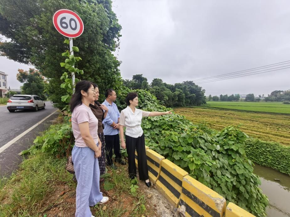 湖南政协新闻网