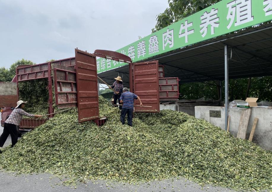 湖南政协新闻网