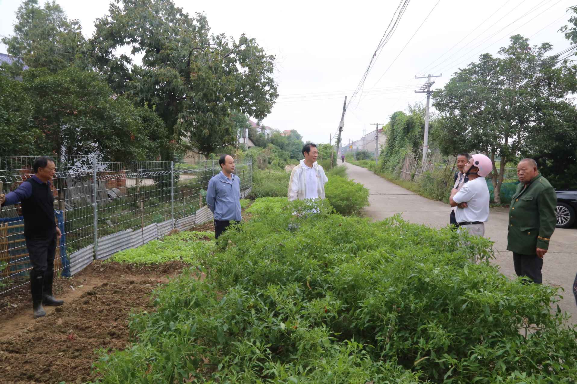 湖南政协新闻网