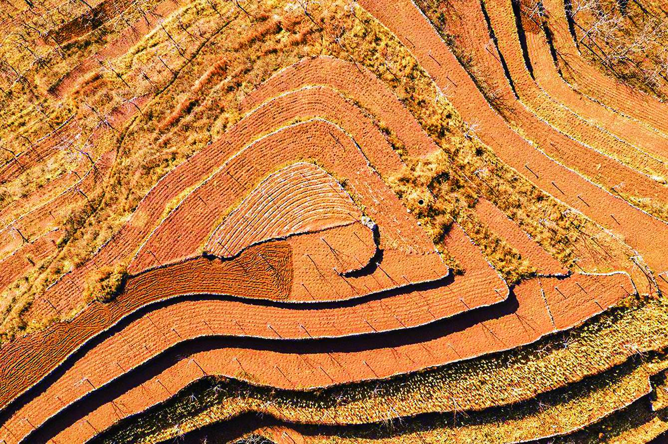 湖南政协新闻网