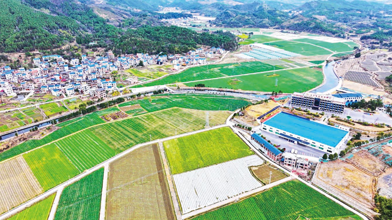 湖南政协新闻网 湖南政协新闻网