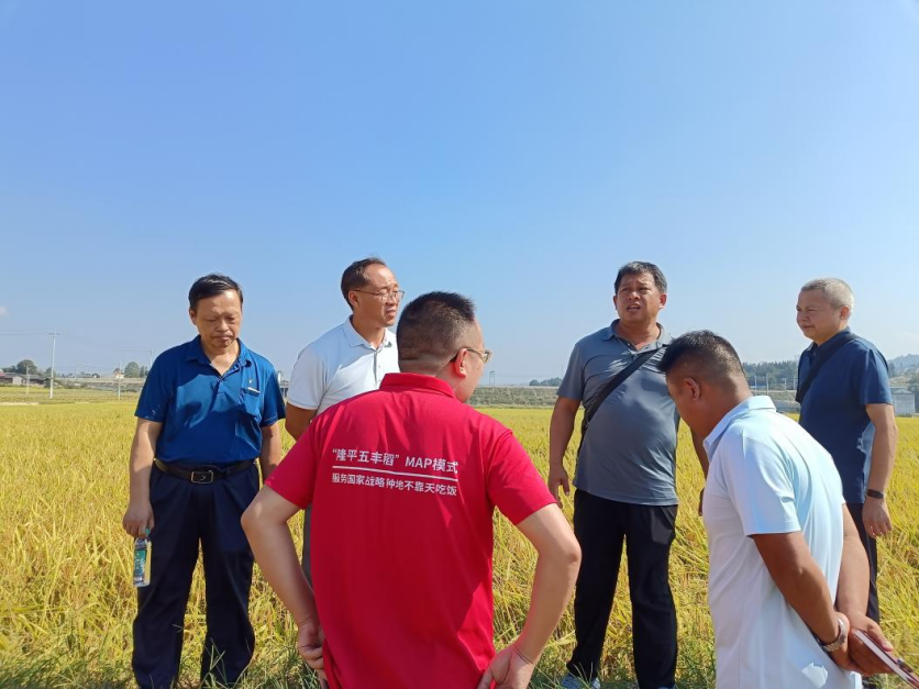 湖南政协新闻网 湖南政协新闻网