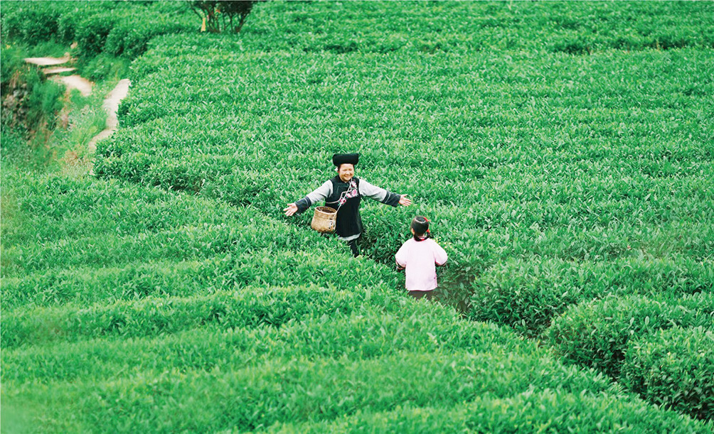 湖南政协新闻网 湖南政协新闻网