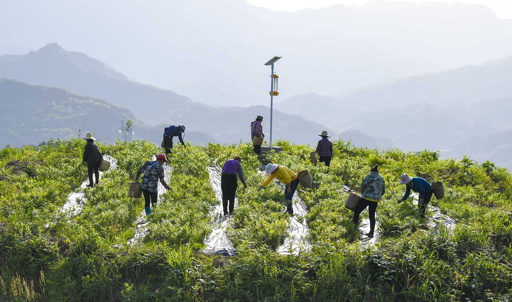 湖南政协新闻网 湖南政协新闻网
