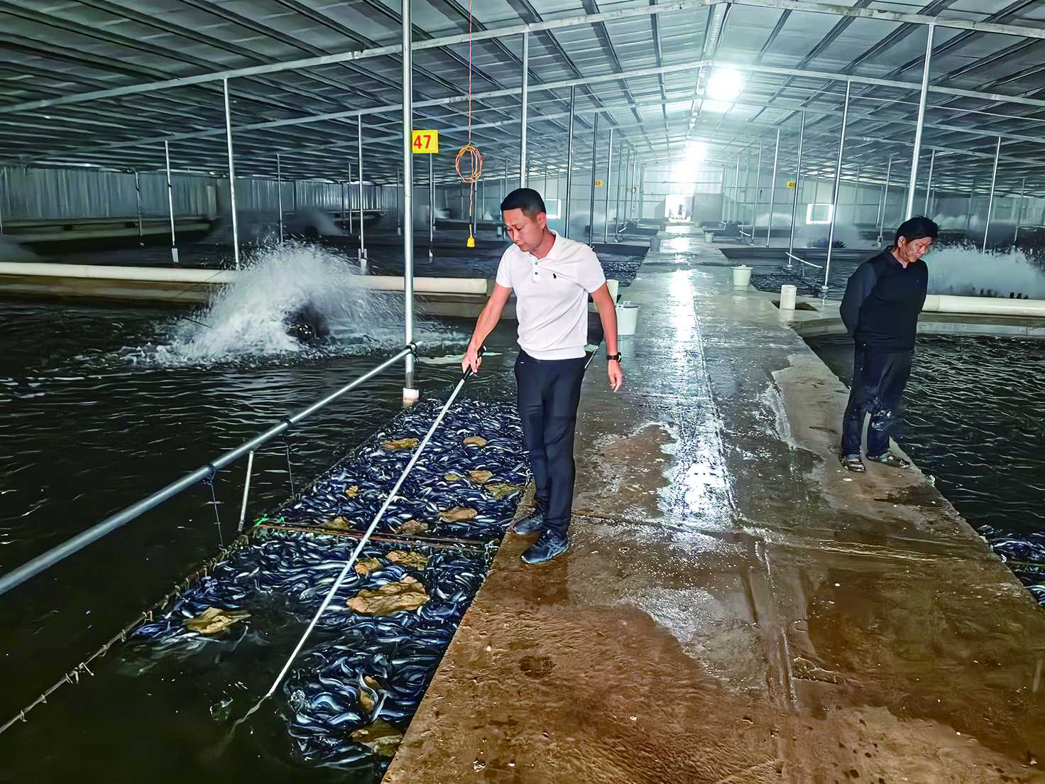 湖南政协新闻网