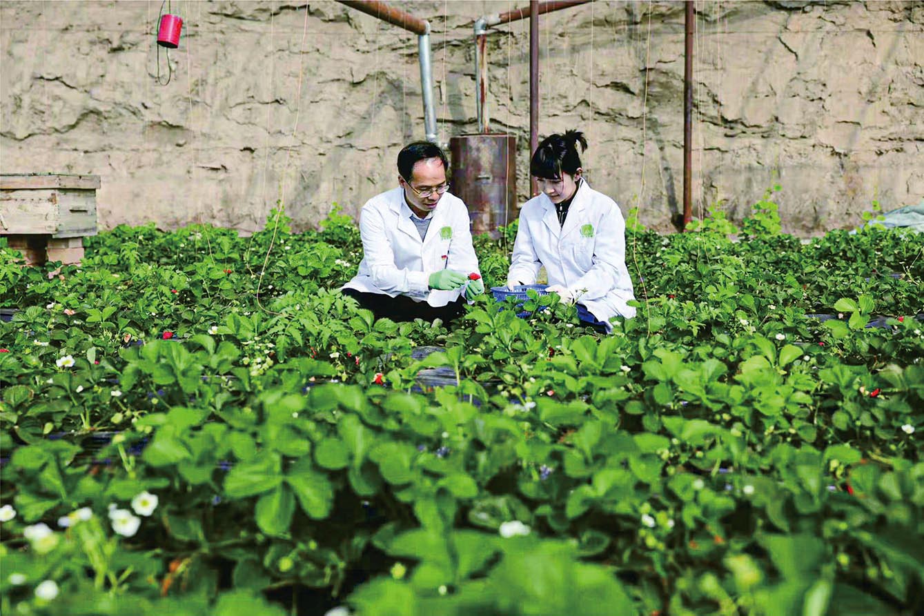 湖南政协新闻网 湖南政协新闻网