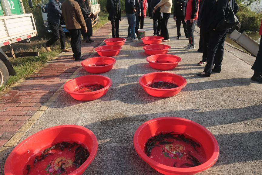 湖南政协新闻网 湖南政协新闻网