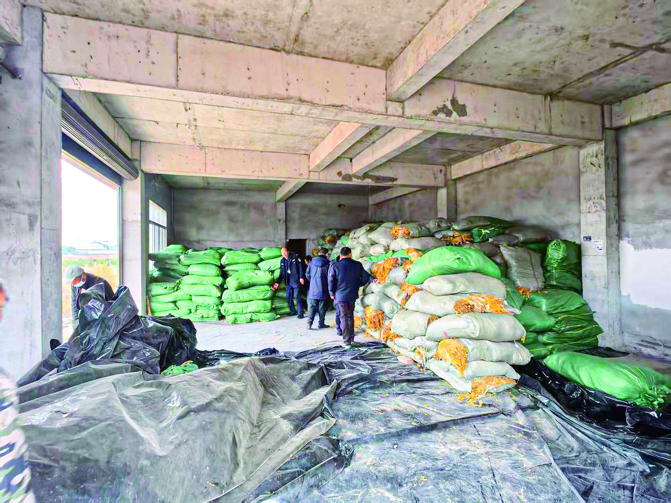 湖南政协新闻网 湖南政协新闻网