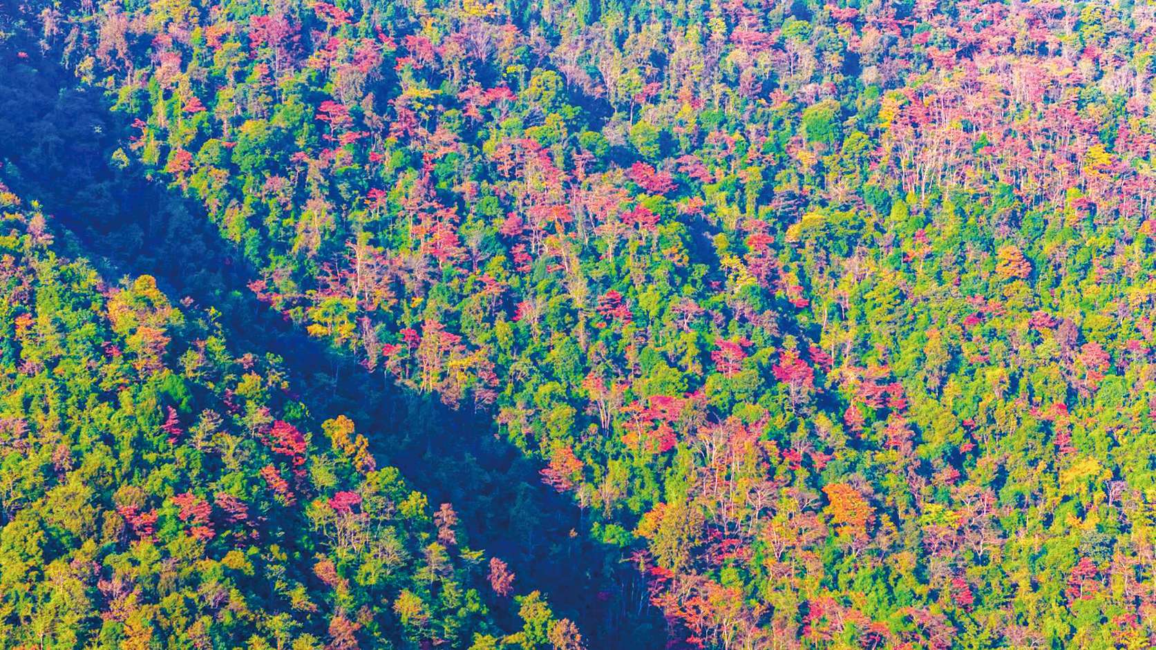 湖南政协新闻网