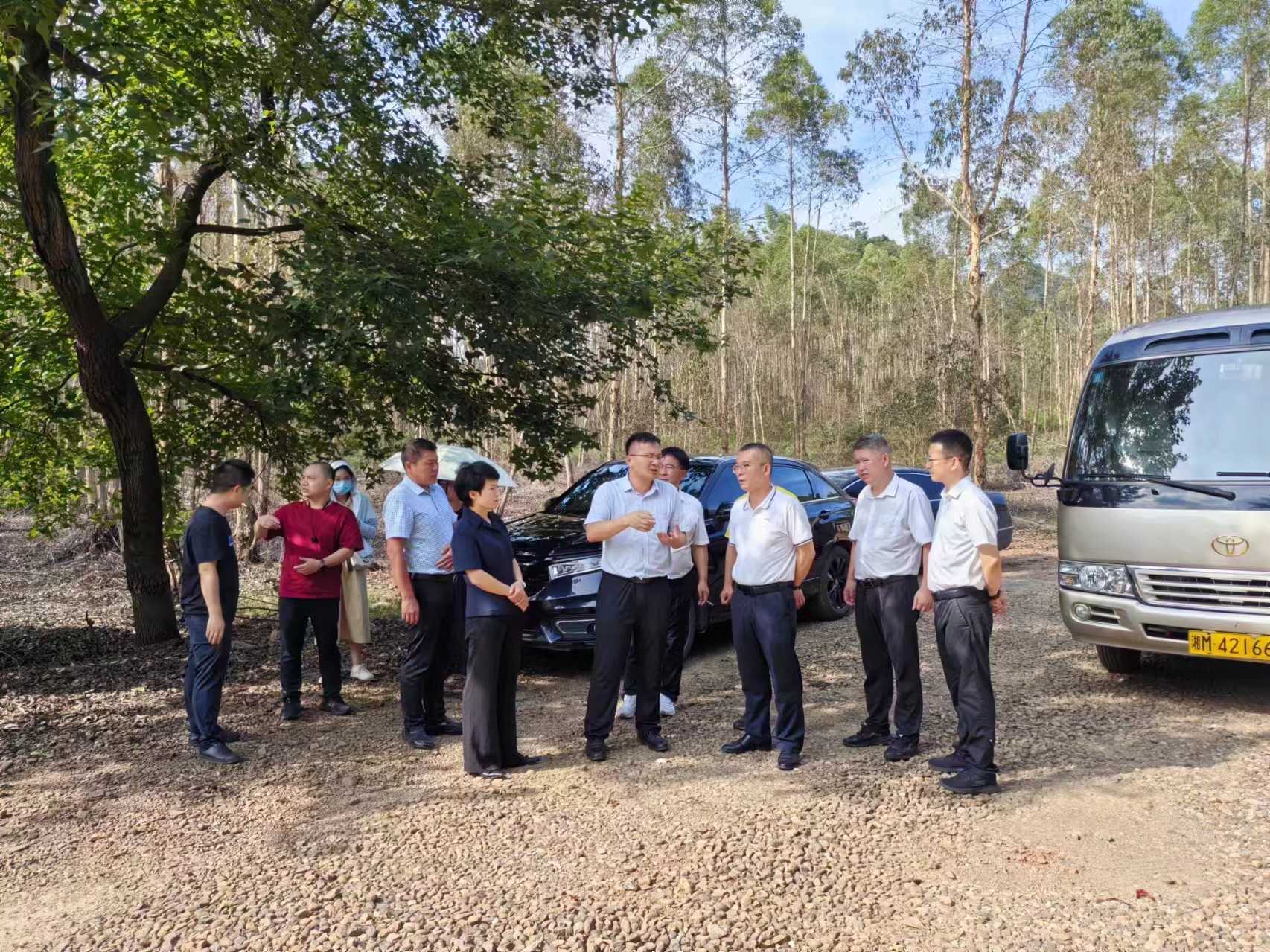 湖南政协新闻网