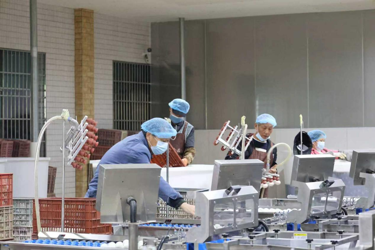 湖南政协新闻网 湖南政协新闻网